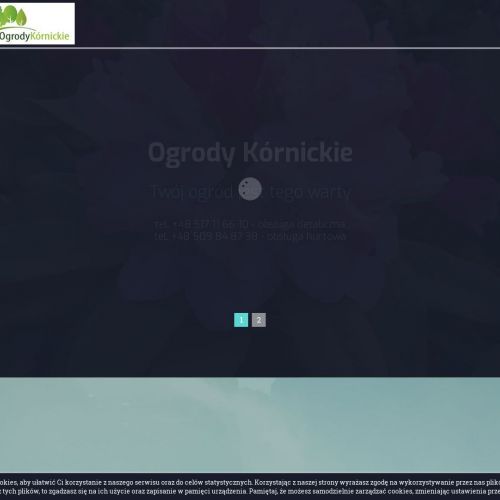 Duże drzewa wielkopolska w Poznaniu