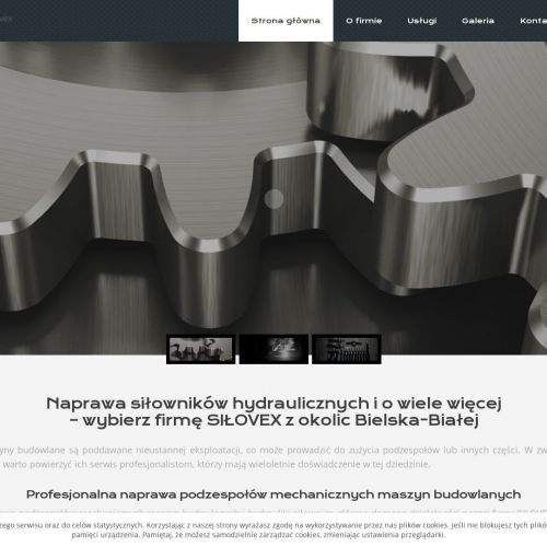 Naprawa hydrauliki siłowej - Wadowice