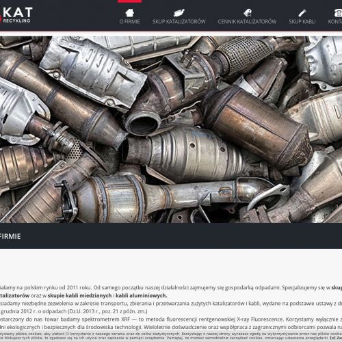 Piotrków Trybunalski - gdzie sprzedać katalizator