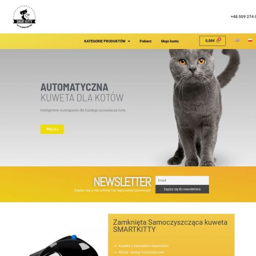 Designerska kuweta dla kota