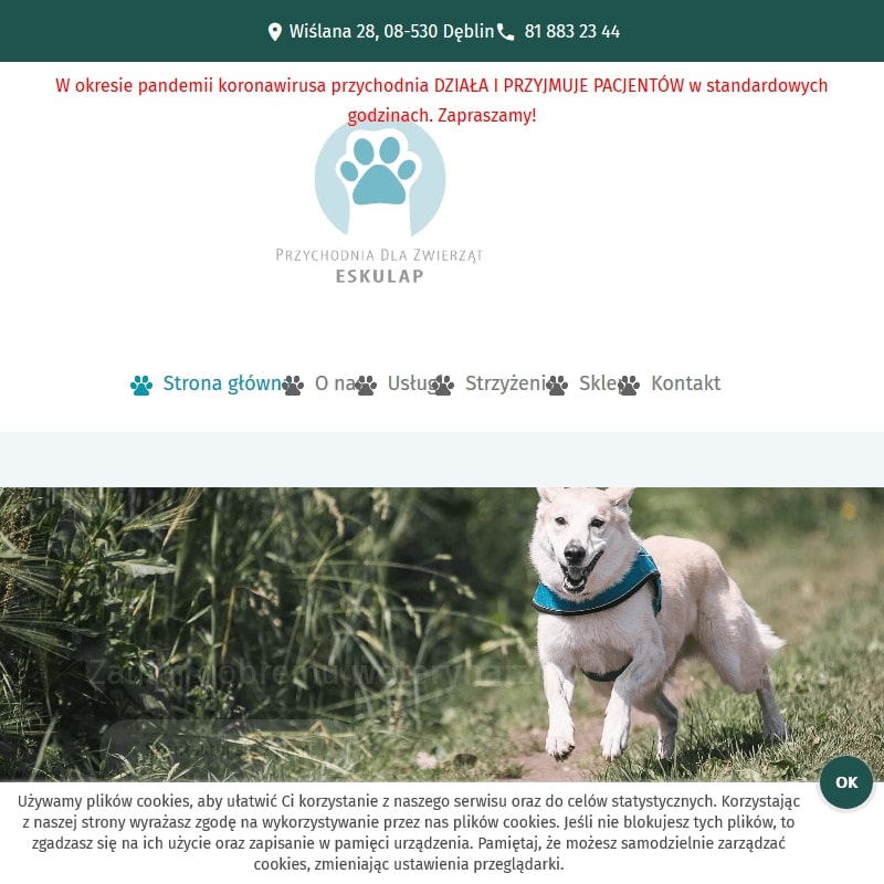 Diagnostyka laboratoryjna weterynarz - Dęblin