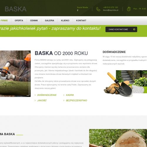 Wycinka drzew - Dąbrowa Górnicza