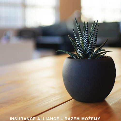 Agent ubezpieczeniowy jak zacząć - Gdańsk