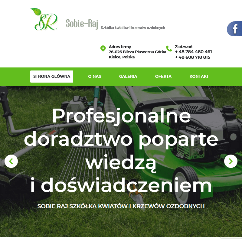 Kielce - sprzedaż drzewek owocowych