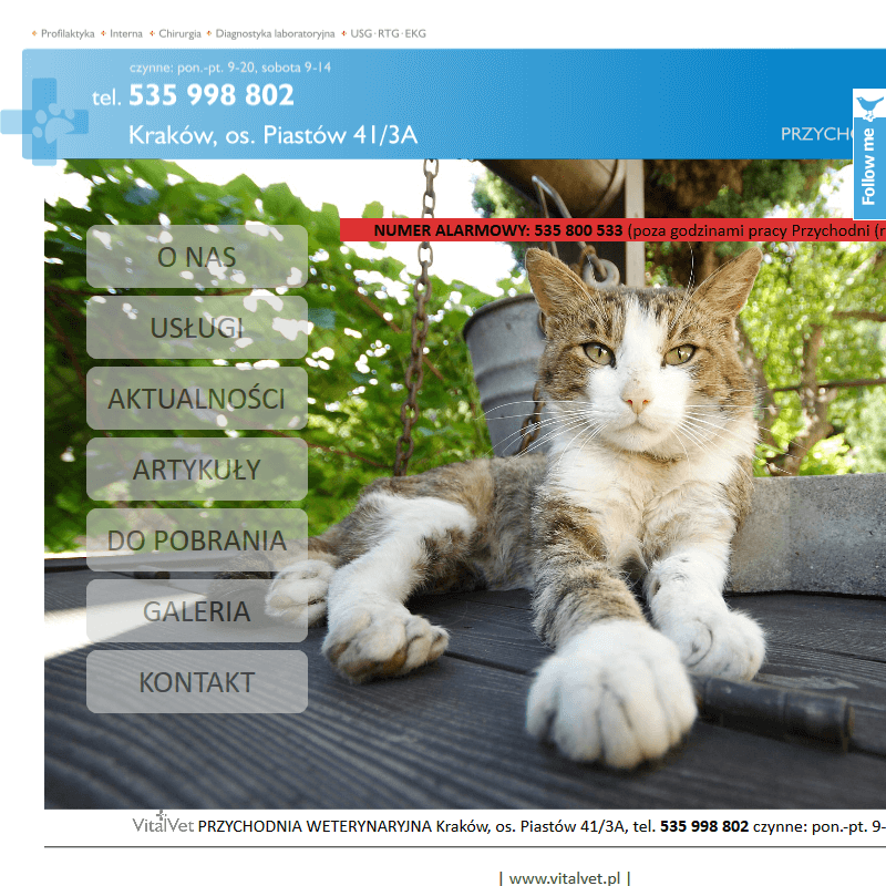 Pogotowie weterynaryjne w Skawinie